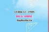 Amine là gì? Phân loại Amine, Công thức cấu tạo, tính chất vật lí, hóa học, ứng dụng, điều chế Amine? Hóa 12 bài 6 CTST